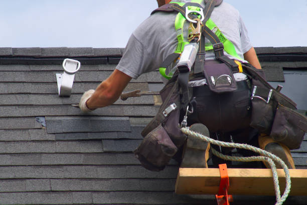 Best Roof Gutter Cleaning  in Homer, IL