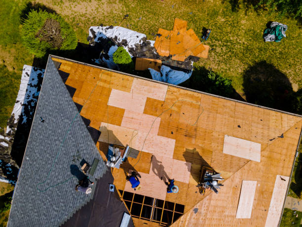 Best Metal Roofing Contractor  in Homer, IL