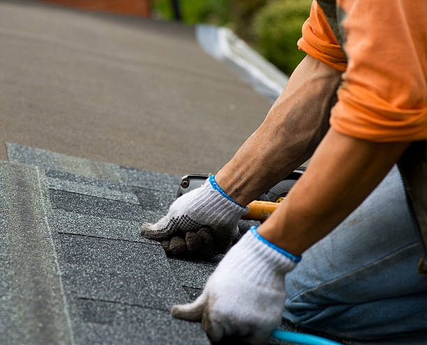 Best Gutter Installation and Roofing  in Homer, IL