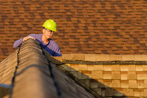 Best Residential Roofing Contractor  in Homer, IL