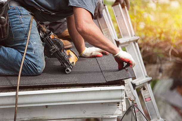 Best Metal Roofing Contractor  in Homer, IL