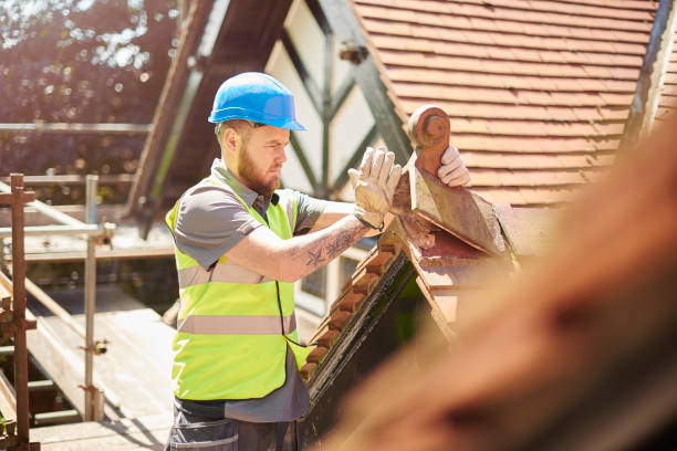 Best Roof Replacement Cost  in Homer, IL
